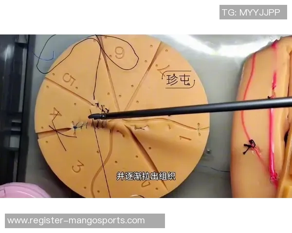 今年运动数据重庆网球队的战术控制体系解析与实战应用探讨